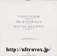 Visions In Blue